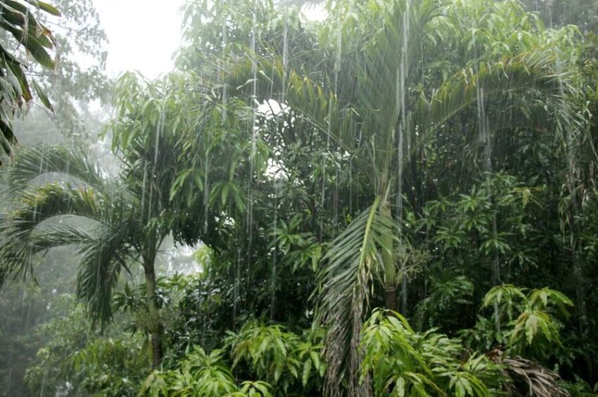 Rainy season in Cambodia